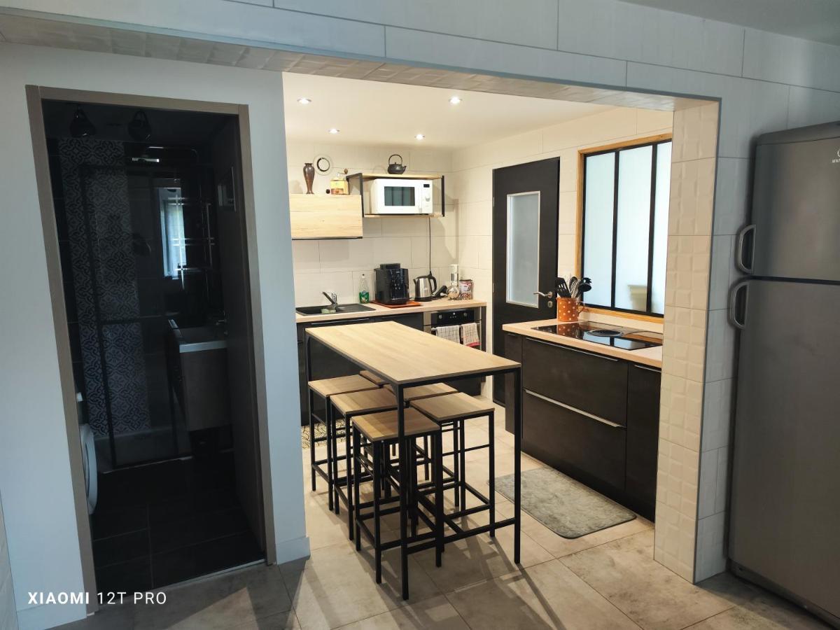 Appartement Renovee Dans Maison Ancienne Amancy Kültér fotó
